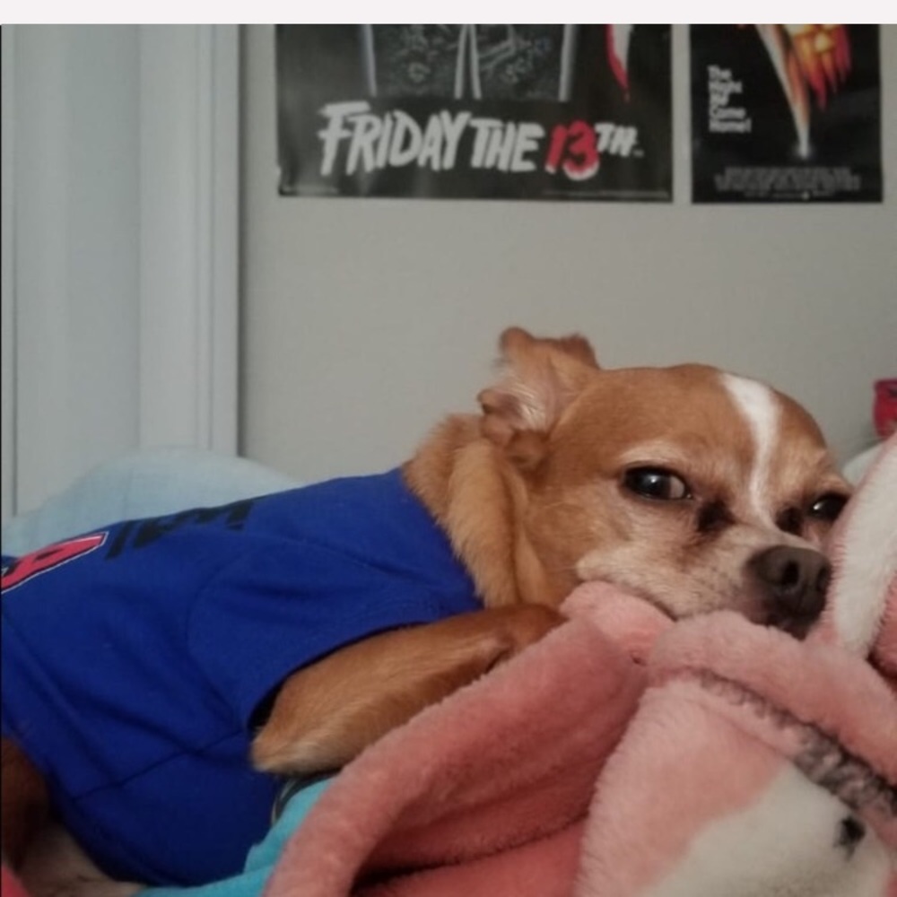 Meet your Posher, Oso